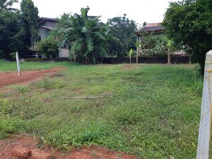 20 කනුව ලගින් වටිනා ඉඩමක් මොරැන්න වත්තෙන්