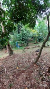 කඩවත ගනේමුල්ල පාරෙන් පර්චස් 9.35 වටිනා ඉඩම අදම ඔබගේ කර ගන්න.