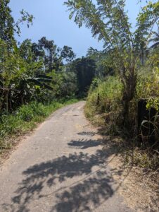 ගම්පහ දිස්ත්‍රික්කයෙන් අක්කර 5ක ඉඩමක් විකිණිමට