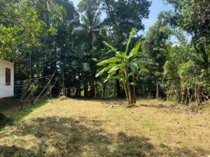 වතුපිටිවල ආයෝජන කලාපයට ලගින් හරි හතරැස් ඉඩම