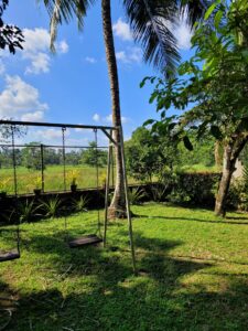බැලුම්මහර,සුපිරි වෙල් යායකට මුහුනලා වටිනා ඉඩමක් විකිණීමට