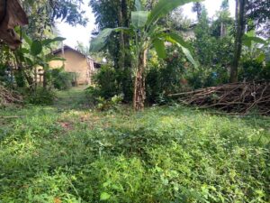 ගම්පහින් වටින්න ඉඩමක් හොයපු අයට ගම්පහ බෙම්මුල්ල දුම්රිය ස්ථානයට පයින් යන දුරින්  වටිනා බිම් කොටසක් විකිනීමට