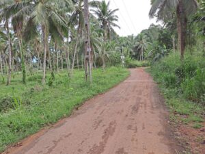 ගම්පහ දිස්ත්‍රික්කයේ අල්ගම වේයන්ගොඩ බස් මාර්ගයට මීටර් 200 ක් ලගින් වටිනා ඉඩමක් විකිණීමට තිබේ