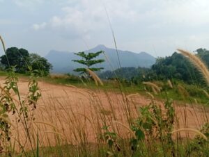 රත්නපුර දිස්ත්‍රික්කයේ කොළද ගල ප්‍රදේශයේ බටුගෙදර නම් ගමේ සුන්දර කදු පන්තියකින් වට වූ ඇල මාර්ගයකටද මායිම් ඉඩම වටිනා මිලකින් විකිනීමට