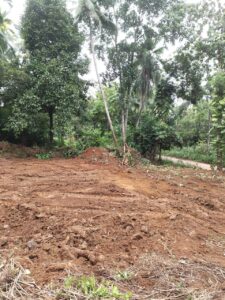 කිරිදිවැල හංවැල්ල ප්‍රධාන බස් පාරට 1Km දුරින් පැපිළියවල ප්‍රදේශයෙන් වටිනා ඉඩමක් විකිණීම ට