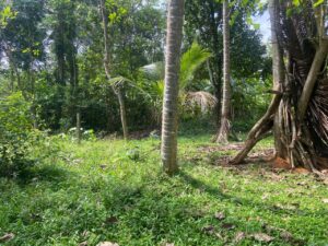පර්චස් 36 ක වටිනා ඉඩමක් ඉක්මණින් විකිණිමට