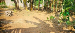 හීන්දෙනිය සහ මගලෙගොඩ දුම්රිය ස්ථානයට මීටර් 900 ක් දුරින් පර්චස් 15 ක ඉඩමක් විකිණීමට