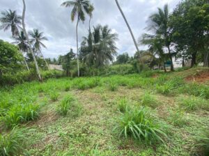දාරලුව ප්‍රදේශයෙන් වටිනා බිම් කොටසක් විකිණිමට