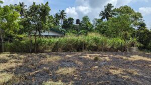 කඩවත කිරිල්ලවල නගරයෙන් වටිනා බිම්කොටසක් විකිණීමට