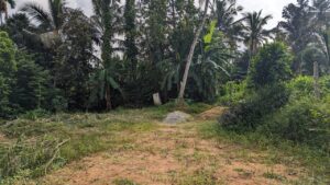 නිට්ටඹුව ඌරාපොල ප්‍රදේශයෙන් පර්චස් 16.5 ක ඉඩම කඩිනමින් විකිණීමට