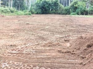 ගම්පහ මරදගහමුල ව්‍යාපාරික මෙන්ම නේවාසික ස්ථානයකට සුදුසු බිම්කොටසක් විකිණිමට