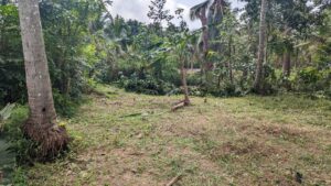 මිනුවන්ගොඩ දෙවොලපොල ප්‍රදේශයෙන් පර්චස් 14 ක ඉඩම ලක්ෂ 22 යි.