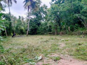 මීරිගම කොටදෙනියාව පාරට ලගින්ම පර්චස් 30 ක ඉඩමක් විකිණීමට