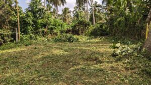 යක්කල බෝගමුව ප්‍රදේශයෙන් වටිනා බිම්කොටසක් විකිණීමට