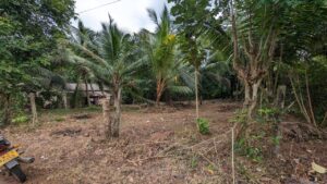 ගම්පහ දිස්ත්‍රික්කයෙන් බටපොල මාකෙවිට පාර කුරුස හංදියෙන් වටිනා නේවාසික බිම්කොටසක් විකිණීමට
