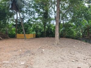 කිරිබත්ගොඩ සුන්දර වෙල්යායකට මායිම් පර්චස් 17.3 තැනිතලා බිම් කොටසක් විකිණීමට