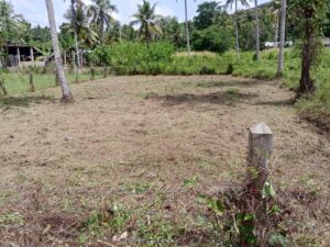 කුරුණෑගල මීගමුව පාරට මීටර් 100 ක් ලගින් මී වැව ප්‍රදෙශයෙන් නේවාසික බිම්කොටසක් විකිණීමට