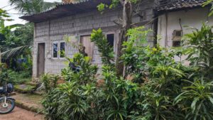 දෙල්ගොඩ ප්‍රදේශයෙන් බෝඩිං කාමර 6 සමග වටිනා ඉඩම විකිණීමට