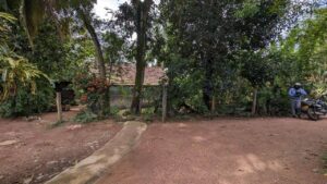 කඩවත නගර මධ්‍යයේ සුබෝධා මාවතින් වටිනා බිම්කොටසක් විකිණීමට