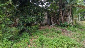 මිනුවන්ගොඩ නගරසීමාවෙන් වටිනා නේවාසික බිම්කොටසක් විකිණීමට