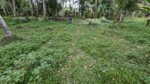 පස්යාල අත්තනගල්ල දුර බස් පාරට මීටර් 750 ක් ලගින් වටිනා බිම්කොටසක් විකිණීමට