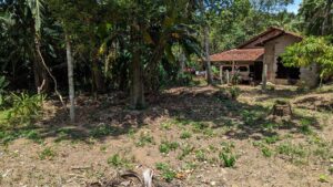 ගම්පහ නයිවල හංදියට ලහින් පර්චස් 20 ක ඉඩමක් විකිණිමට