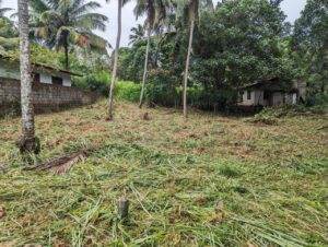 නිට්ටඹුව කලල්පිටිය ප්‍රදේශයෙන් පර්චස් 15 වටිනා බිම් කොටසක් විකිණීමට