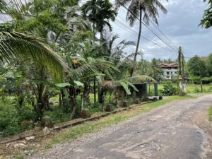 යක්කල ලයිසියම් පාසලට ආසන්නව මොරැන්නවත්ත පාරෙන් වෙල්‍ යායට මායිම්ව පර්චස් 17 ක ඉඩම විකිණීමට.