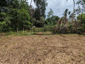 කඩවත ඉඹුල්ගොඩ පර්චස් 10 වටිනා බිම්කොටසක් විකිණීමට