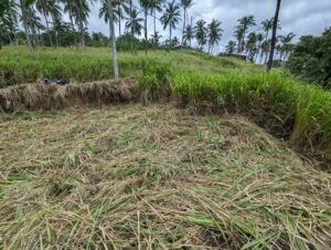 තිත්තවැල්මංකඩ ප්‍රදේශයෙන් පර්චස් 10 ක් ලක්ෂ 10 යි