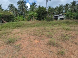 නයිවල ටෙක් ආයතනයට ලගින් නේවාසික බිම්කොටසක් විකිණීමට