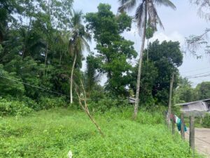 කඩවත ගොනහේන පාර මහදරාව හංදියට ලගින් පර්චස් 20 ක ඉඩමක් කොටස් 2ක් වශයෙන් විකිනිමට