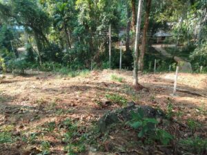 නිට්ටඹුව ඌරාපොල ප්‍රදේශයෙන් පර්චස් 15 වටිනා බිම් කොටස ලක්ෂ 15 යි.