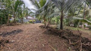 ගම්පහ දිස්ත්‍රික්කයෙන් බටපොල මාකෙවිට පාර කුරුස හංදියෙන් වටිනා නේවාසික බිම්කොටසක් විකිණීමට