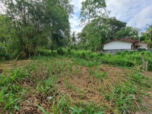 කඩුවෙල රනාල – බටේවෙල පාරේ වටිනා නේවාසික ඉඩම විකිණීමට