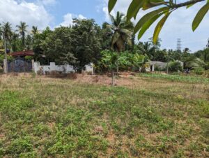 කිරිදිවැල රදාවාන 202 බස් පාරට ලගින් පර්චස් 12 ක බිම් කොටසක් විකිණිමට ඇත