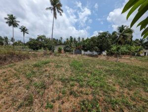 කිරිදිවැල රදාවාන 202 බස් පාරට ලගින් පර්චස් 25 ක ඉඩමක් විකිණිමට