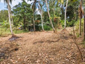 වැලිවේරියේ නව නුවර පාරට ලග වටිනා ඉඩමක් විකිණිමට