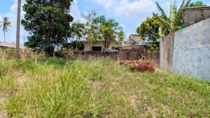 වේයන්ගොඩ – බාදුරාගොඩ පාරට ලගින් පර්චස් 10 ක ඉඩම විකිණීමට