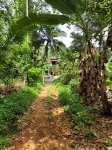 හංවැල්ල කටුනායක ප්රදාන දුර ගමන් බස් පාරට මුහුණලා වටිනා වයාපාරික ඉඩම විකිණිමට