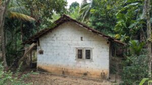 වේයන්ගොඩ / නිට්ටඹුව නගර දෙකට මැදිව වෙලකට මායිම් වූ කුඩා නිවසක් විකිණීමට