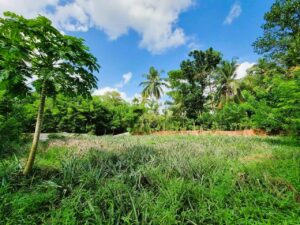 කිරිදිවැල නගරයෙන්ම පර්චස් 18 නේවාසික ඉඩමක් විකිණිමට