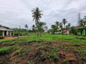 වේයන්ගොඩ – බාදුරාගොඩ පාරට ලගින් පර්චස් 10 වටිනා ඉඩම විකිණීමට