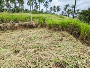 තිත්තවැල්මන්කඩ, වීරසූරිය කන්දපාරෙන් අගනා ඉඩමක්