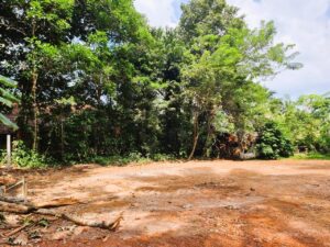 කඩවත ඉඹුල්ගොඩ ප්‍රදෙශයෙන් පර්චස් 19 වටිනා නේවාසික බිම්කොටසක් විකිණීමට