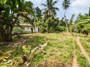 කිරිදිවැල නගරයට ඇවිදියන දුරින් පර්චස් 12.9 වටිනා නේවාසික බිම්කොටසක් විකිනීමට