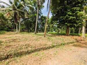 වතුරුගම පර්චස් 12.50 නේවාසික බිම් කොටසක්