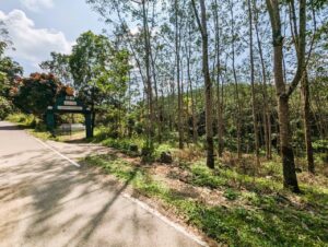 ගලපිටමඩ / සල්ගල ආරණ්‍ය අසලින් කාපට් මාර්ගයකට මායිම්ව අක්කර 1 ක රබර් ඉඩමක් විකිණීමට