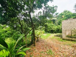 දංඕවිට පුහුලෙගම ප්‍රදේශයේ පර්චස් 47ක ඉඩම සමග අඩක් නිමකළ නිවසක් විකිනීමට