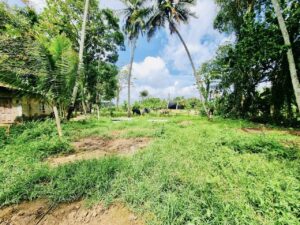 ගම්පහ නගර මධ්‍යයෙන් පර්චස් 15 වටිනා ඉඩමක්